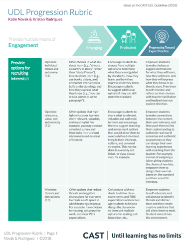 UDL Progression Rubric